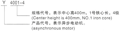 西安泰富西玛Y系列(H355-1000)高压YJTFKK5602-10-560KW三相异步电机型号说明