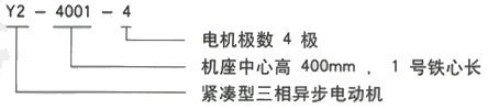 YR系列(H355-1000)高压YJTFKK5602-10-560KW三相异步电机西安西玛电机型号说明